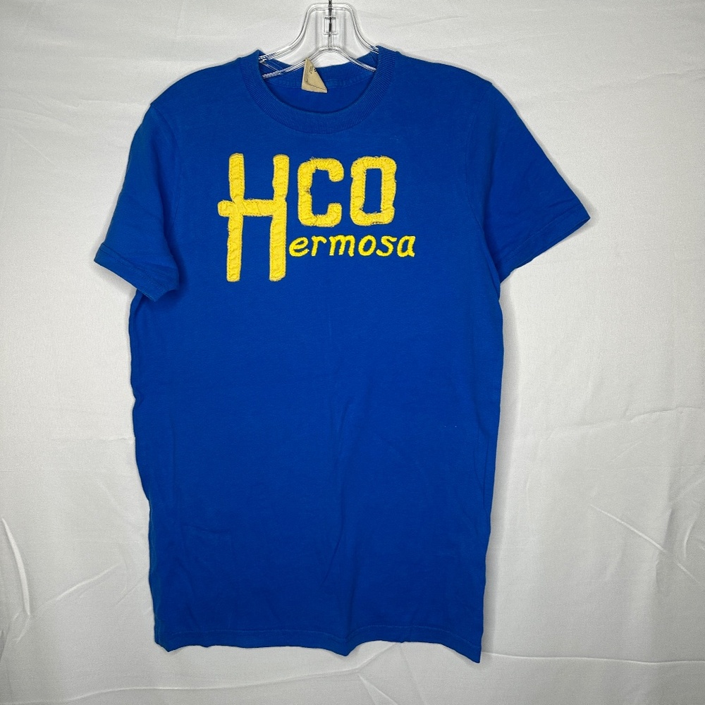 Hollister Blue Short Sleeve Graphic Tee